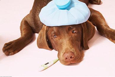 《最终幻想7：重生》采用虚幻4开发 以便更快发售